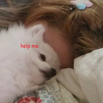 ithogutitwasmargogfr.thumb.png.46cfee1c88ac4c1363748cc31490d9c7.png