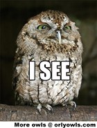 isee.thumb.jpg.cf34df8086fa7530f3a799543