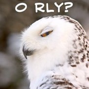 orly1.thumb.jpg.318e41499de05a39179e6aac