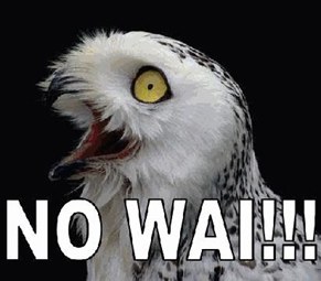 orly3.thumb.jpg.32535deb3e925895ca9732ae