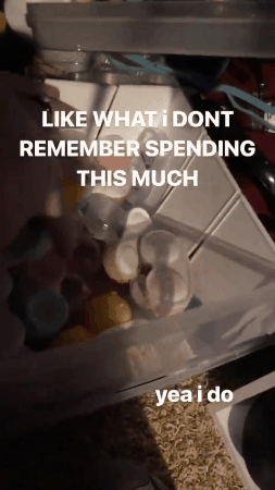 videotogif_2019.01.21_16.13.17.thumb.gif